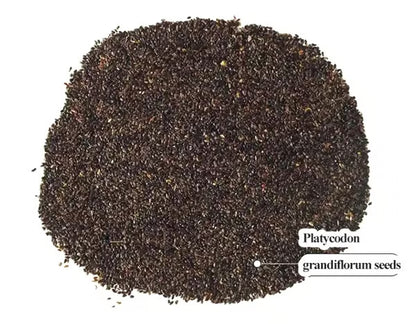Premium Flower Seed
